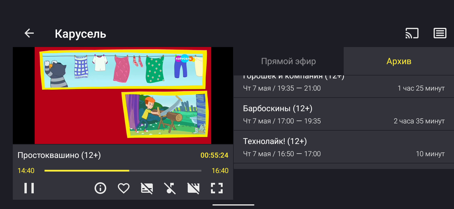 4 Archive in the IPTV player.jpg