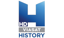 Viju history