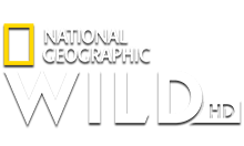 National Geographic Wild HD